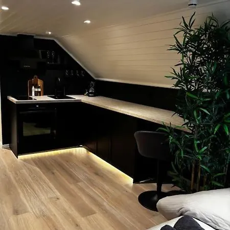 Ny Og Moderne Studioleilighet Med Elbil Lading * Gjøvik