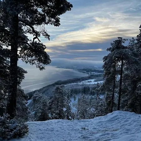 Apartman Ny Og Moderne Studioleilighet Med Elbil Lading *