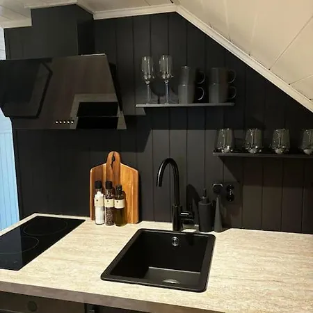 Ny Og Moderne Studioleilighet Med Elbil Lading *