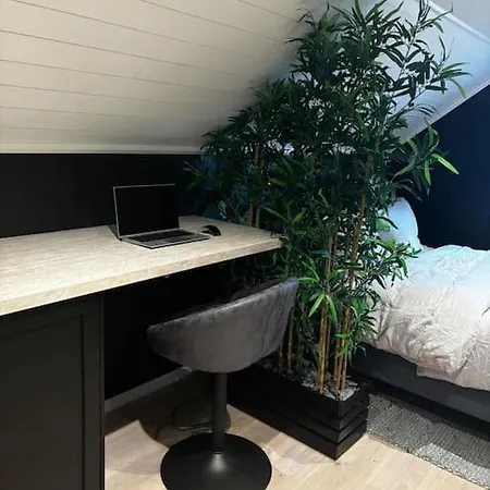 Ny Og Moderne Studioleilighet Med Elbil Lading Apartamento