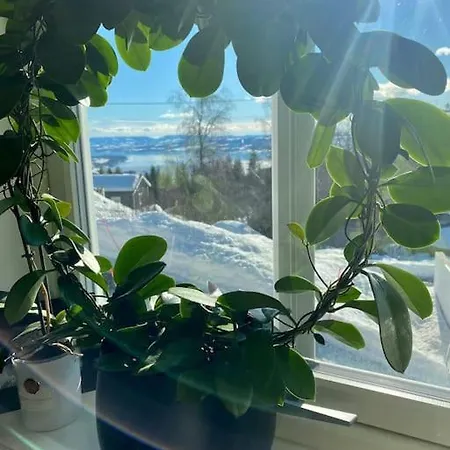 Apartamento Ny Og Moderne Studioleilighet Med Elbil Lading Gjøvik