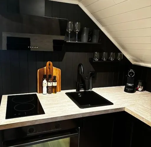Ny Og Moderne Studioleilighet Med Elbil Lading Apartamento