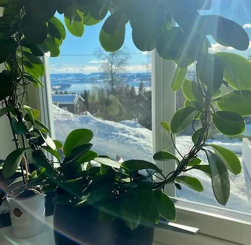 Apartamento Ny Og Moderne Studioleilighet Med Elbil Lading Gjøvik