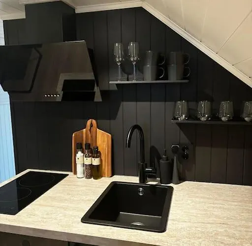 Ny Og Moderne Studioleilighet Med Elbil Lading *